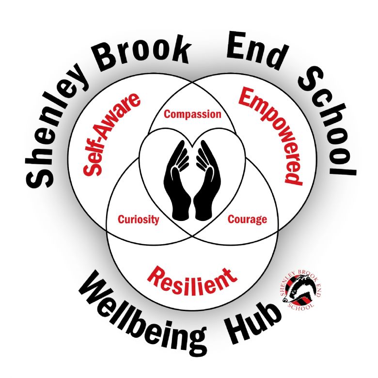 Contact us:  Please email us: wellbeing@sbeschool.org.uk  Other useful helpline numbers and organisations that provide free help can be found here:  SBE Guide to External Wellbeing Resources